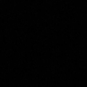 Meet your Posher, Bailey